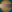 bullet